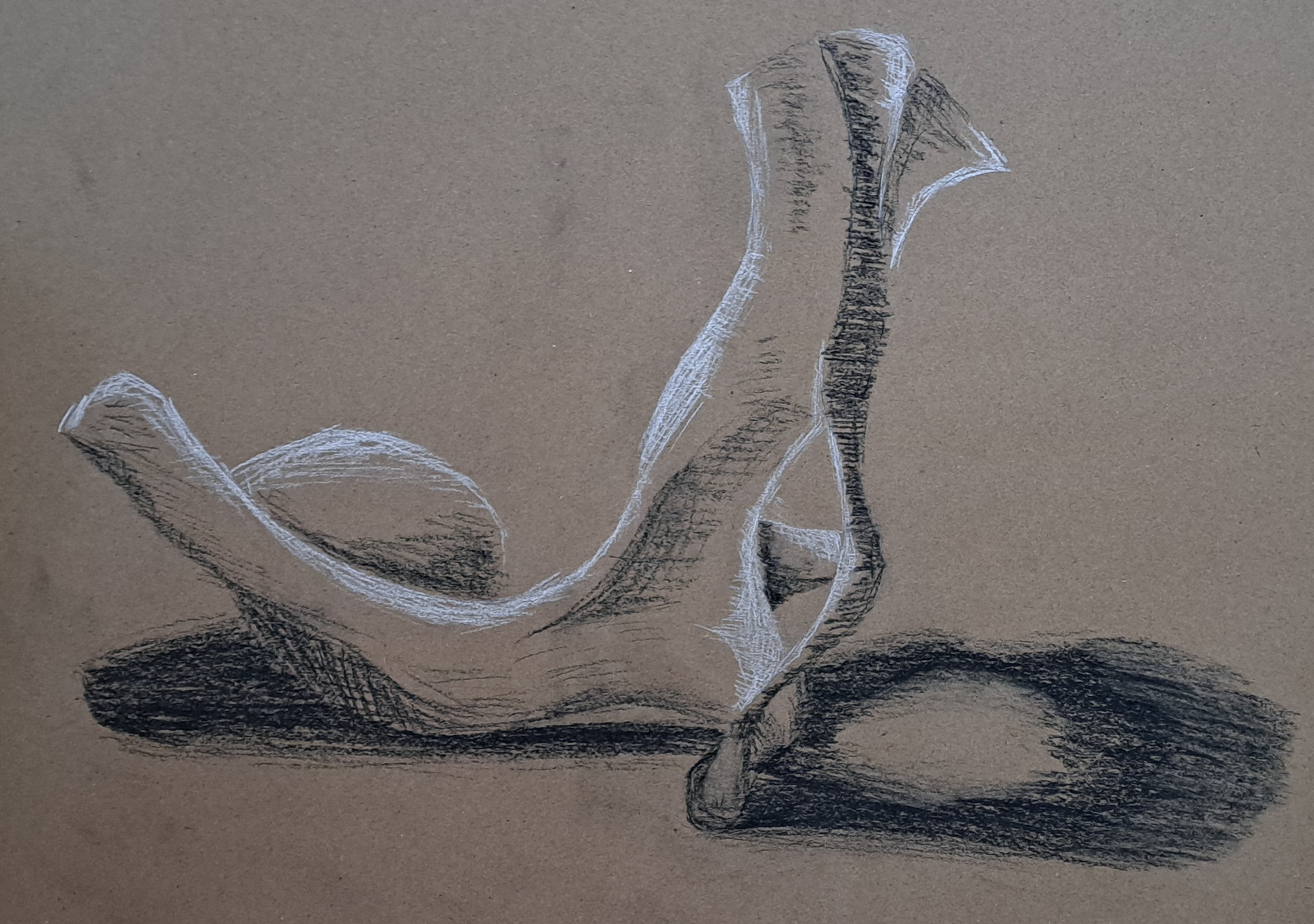 Still life of a bone